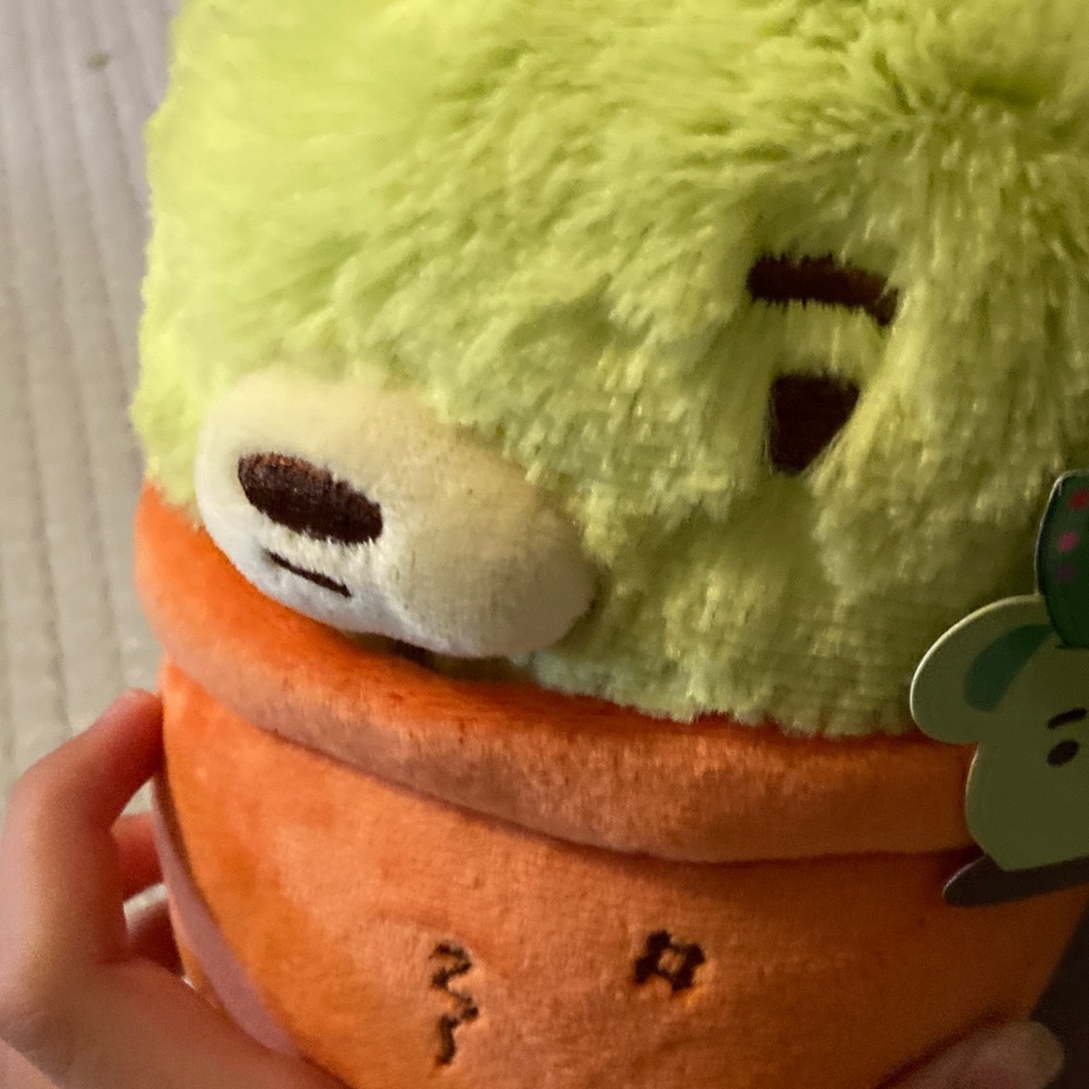 Green Cactus Bear Plush in Orange Pot Moriah Elizabeth Fred plush with bag - Picture 11 of 13